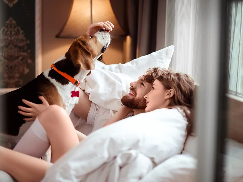 Escapada a hotel pet friendly! 1 noche para 2 adultos - Imagen 4